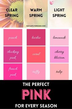 Pink Matching Colors, Radiantly Dressed, Warm Spring Palette, Color Analysis Summer, Colour Season, Light Spring Colors