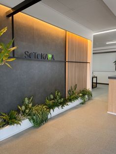 an office with plants in the planters and a sign on the wall that says stocka