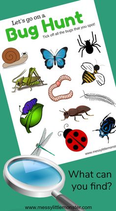 an image of bugs and insects on a white background with the words, let's go on a bug hunt