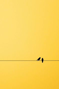 two birds sitting on an electric wire with yellow sky in the background