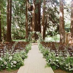 an outdoor wedding ceremony in the woods with rows of chairs lined up along the aisle