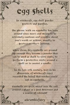 In witchcraft, egg shell powder protects and purifies. Eggshells are great mixed into the soil around a plant as a pest deterrent and a source of calcium! Eggshell Uses Witchcraft, Eggshell Powder Witchcraft, Egg Shells Witchcraft, Eggshells In Witchcraft, Shells Witchcraft, Egg Shell Powder, Wiccan Tools, Goddess Magick, Witch Tools