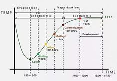 a graph shows the time and temperature for an experiment