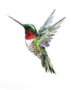 a watercolor painting of a hummingbird in flight