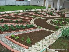 a vegetable garden in the middle of a yard