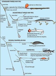 the different types of fishing lures and how they are used to catch them in the water