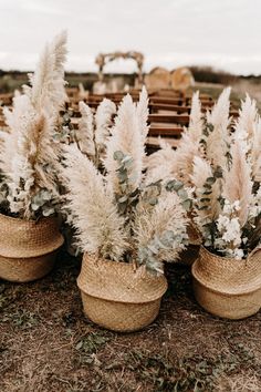 three baskets filled with plants sitting on top of a field