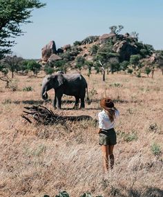 a woman standing in the middle of a field with an elephant and other animals behind her