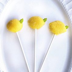 three lemon lollipops on a white plate