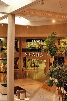 the inside of a store with lots of plants and trees in it's center