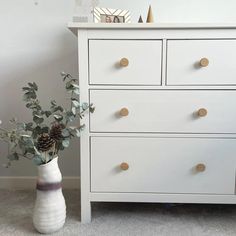 a white chest of drawers next to a vase filled with plants and pine cones on top