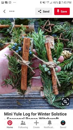 two cinnamon sticks tied with twine and surrounded by evergreen branches, pine cones and blue berries