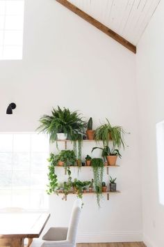 a dining room table and chairs with plants on the wall