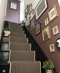 the stairs are lined with pictures and plants