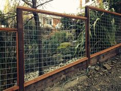 the fence is made of metal wire and has rocks in it, along with plants