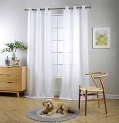 a dog laying on the floor in front of a window with white drapes and curtains