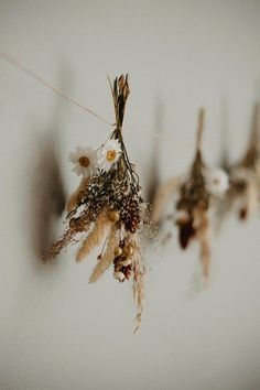 dried flowers hang from a clothes line on a white wall in front of the camera