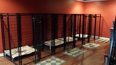 several cages are lined up against the wall