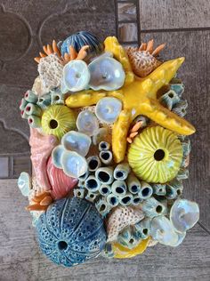 an arrangement of seashells and starfish on display