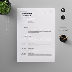 a clean and modern resume template on a desk next to a potted plant with a pencil