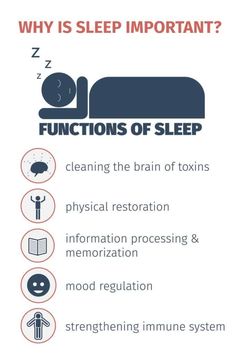 sleep Why Is Sleep Important, Strengthen Immune System, How To Sleep, Slaap Lekker, Information Processing, Healthy Sleep, Good Sleep