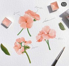 some pink flowers are on a white surface with watercolors and paintbrushes