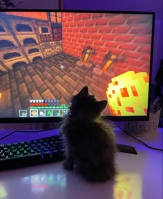 a cat sitting in front of a computer monitor with a game on it's screen