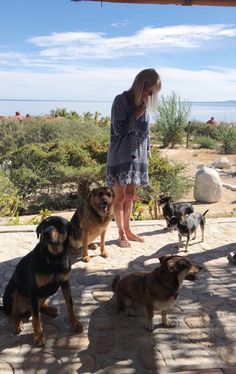 a woman standing next to four dogs on a patio