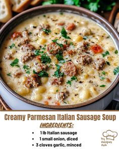 Creamy Parmesan Italian Sausage Soup Ditalini Soup, Sausage Soup Recipes, Ditalini Pasta, Italian Sausage Soup, Soup Ingredients, Italian Sausage Recipes, Beef Sausage, Italian Soup, Creamy Parmesan