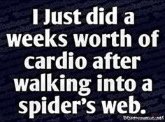 i just did a weeks worth of cardio after walking into a spider's web