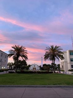 palm trees in front of a white building with a pink and blue sky behind it