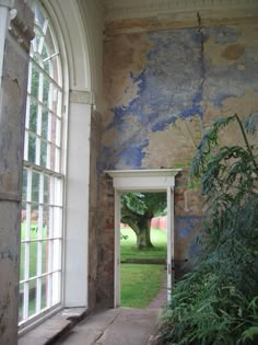 an open door leading to a lush green yard with trees in the background and blue paint on the walls