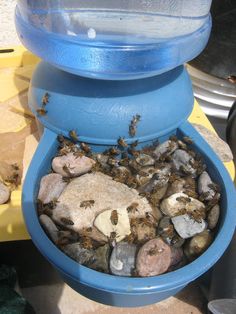 a blue toilet bowl filled with rocks and dirt