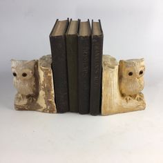 two bookends made out of books with an owl figurine next to them