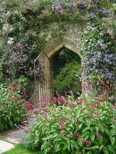 an archway in the middle of a garden with flowers and plants growing all around it