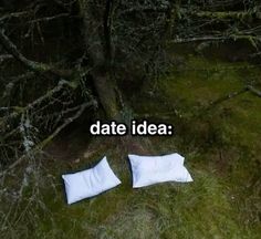 two white pillows laying on the ground in front of some trees with text that reads date idea