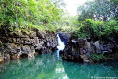 there is a small waterfall in the middle of some rocks and green trees around it