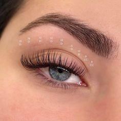 Cat Eye Lash Extensions Classic Map, Different Eyelash Extensions, Classical Eyelash Extensions, 0.15 Lash Extensions, Natural D Curl Lash Extensions, Natural Lash Extensions With Numbers, Classic Eyelashes Extensions, Classic Lash Maps