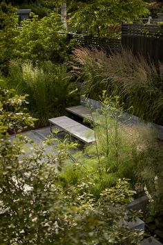 a bench in the middle of a garden with tall grass and plants around it,