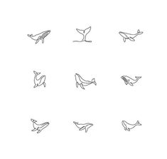 the different types of whale tails are shown in black and white on a white background