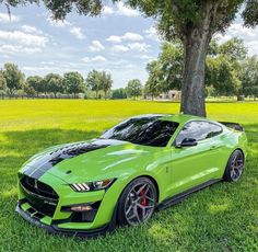 a green mustang parked in the grass next to a tree and grassy field with trees