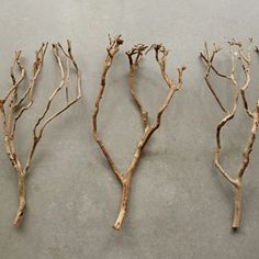 three pieces of driftwood sitting on top of a gray floor next to each other