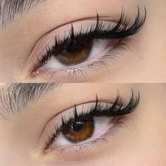 Siren Eyelashes Extensions, Wet Look Cat Eye Lashes, Hybrid Eyelash Extensions Styles, Half Set Eyelash Extensions, Fox Lashes, Hybrid Wispy Eyelash Extensions, Hybrid Lash Set, Soft Cat Eye, Natural Fake Eyelashes