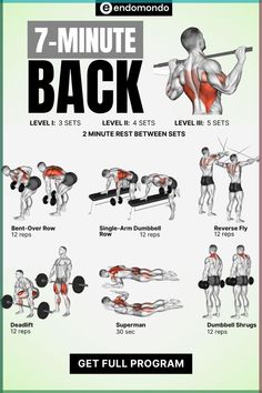 an image of the back workout poster