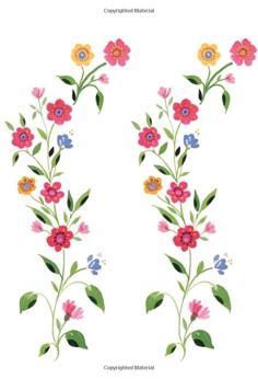 an image of colorful flowers on white background