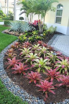 this is an image of a garden in front of a house