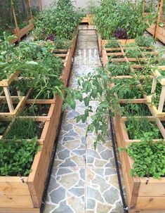 an outdoor garden with lots of plants growing in it