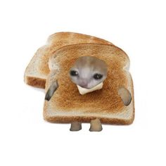 an animal sticking its head out of a piece of bread