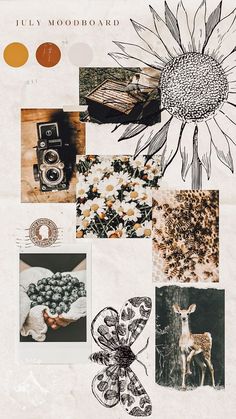 a collage of photos with flowers, deer and other things in the background that include an image of a sunflower