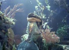 an underwater scene with rocks and corals